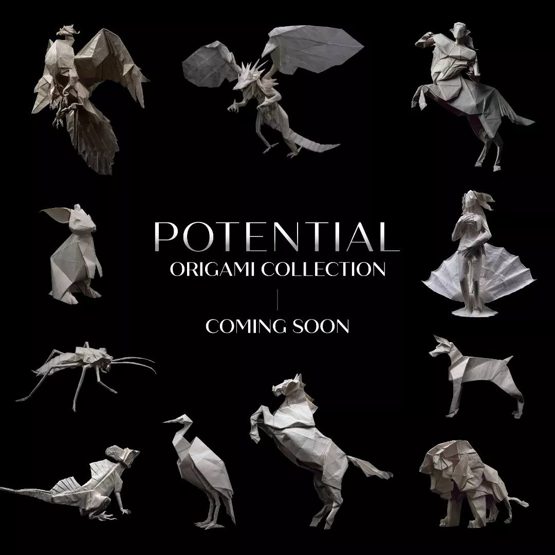 potential origami collection ( KOA2023 origami collection)