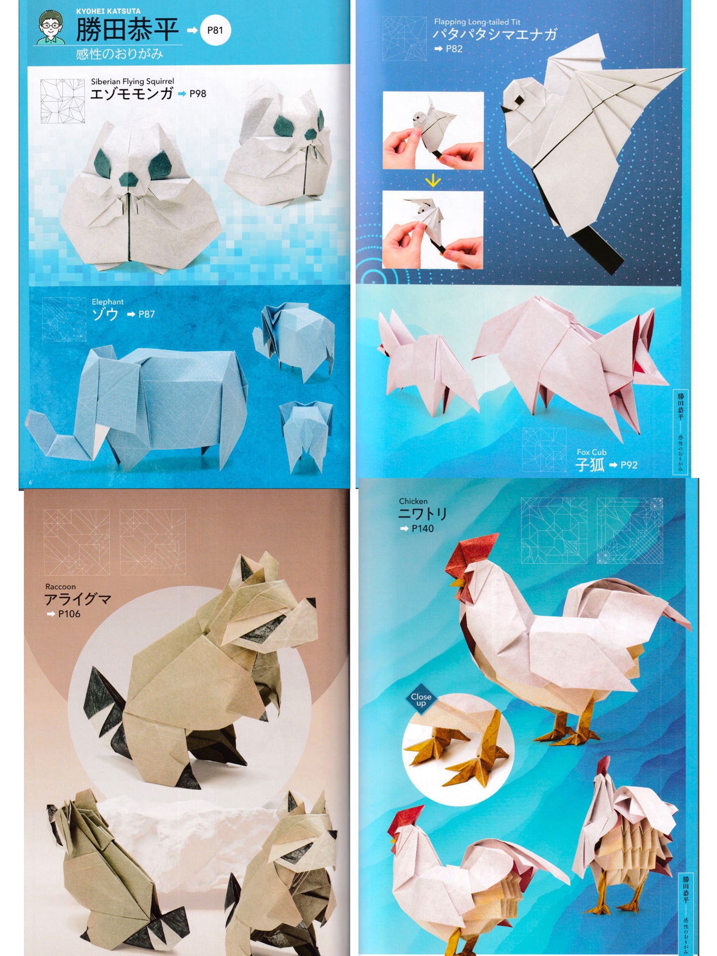 Transcendent origami 超绝折纸
