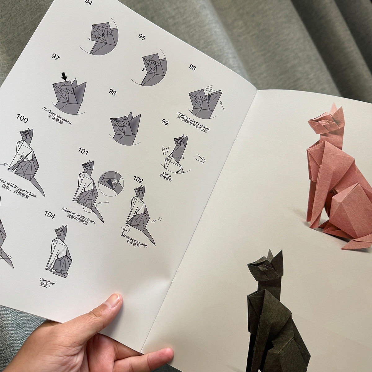 # 6 cat by Tukaiming booklet ,Paperback