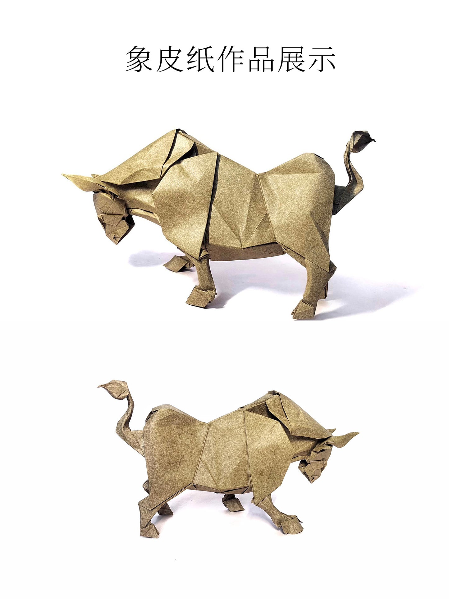 elephant hide paper IVORY
