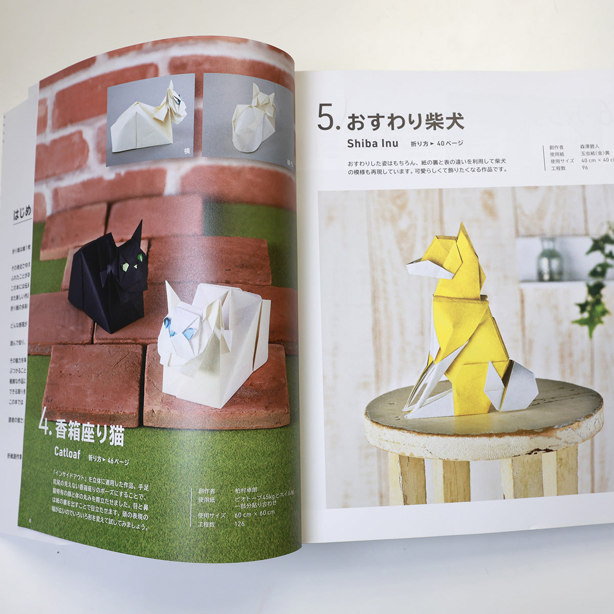表現を探求する新しい折り紙