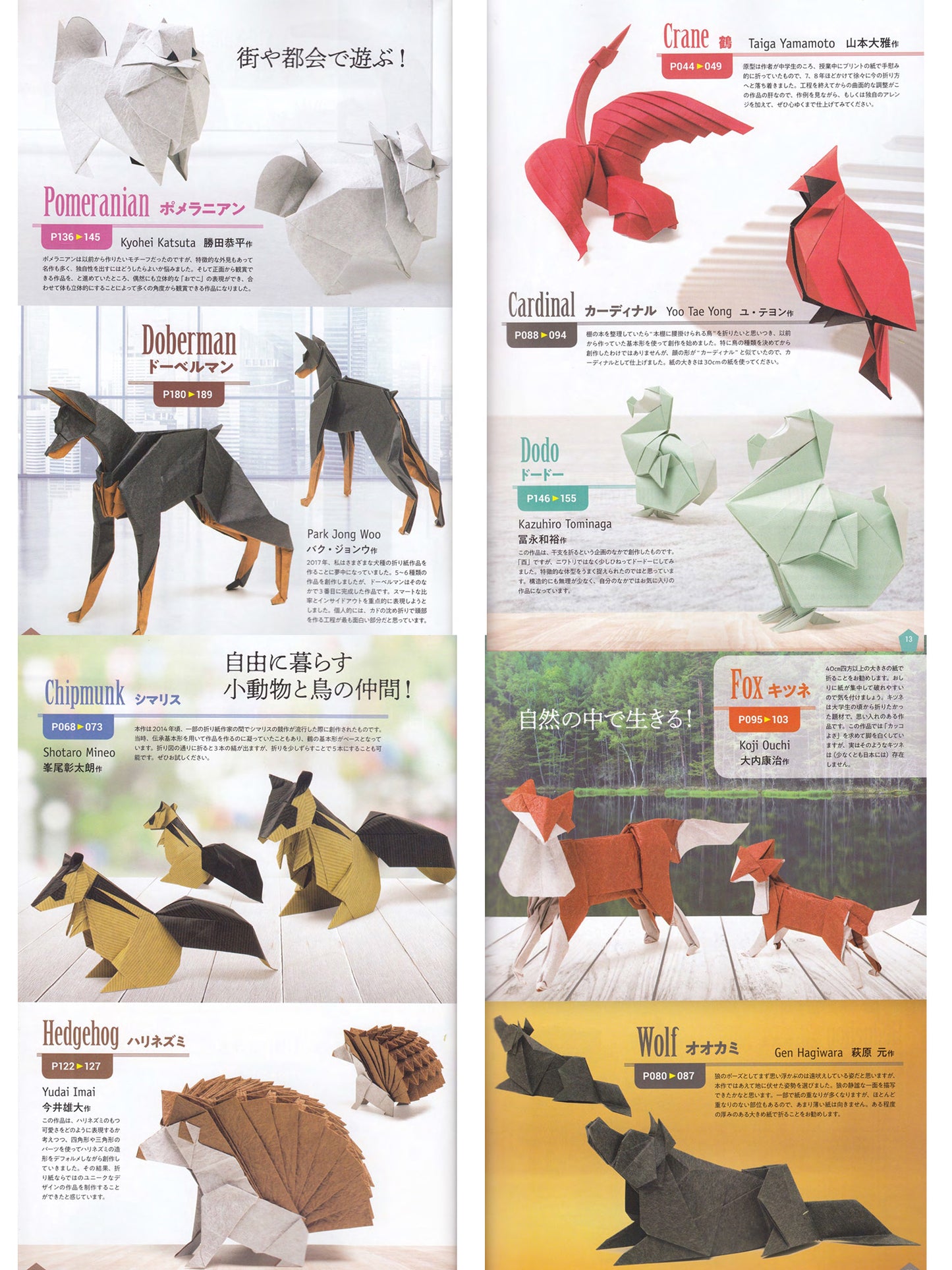new generation of origami 至高折纸 新世代