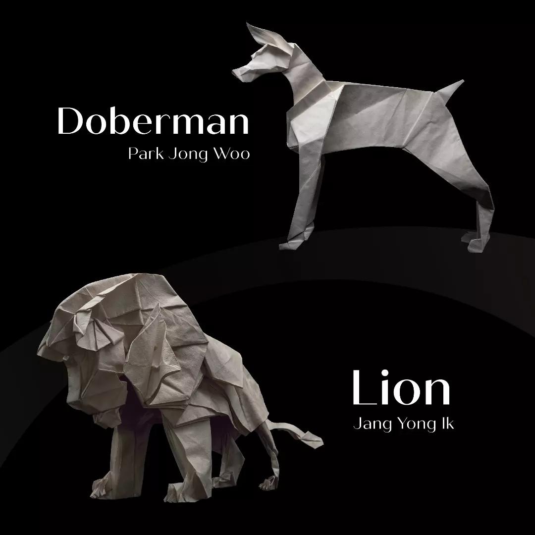 potential origami collection ( KOA2023 origami collection)