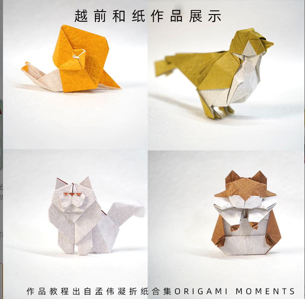 越前もみ和紙 Echizen Momigami Washi