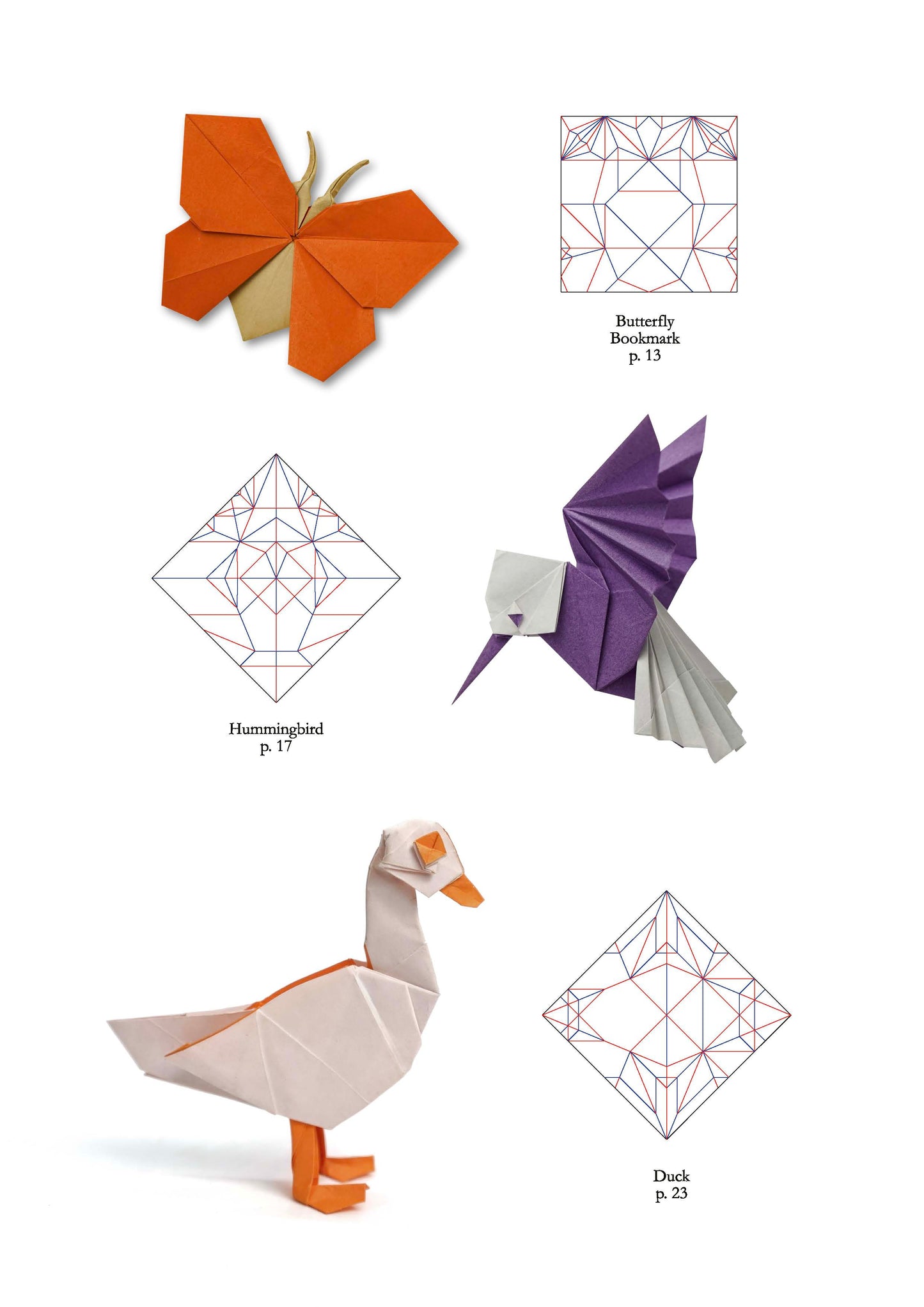 Origami life by Sampreet Manna From Nicolas Terry origami shop