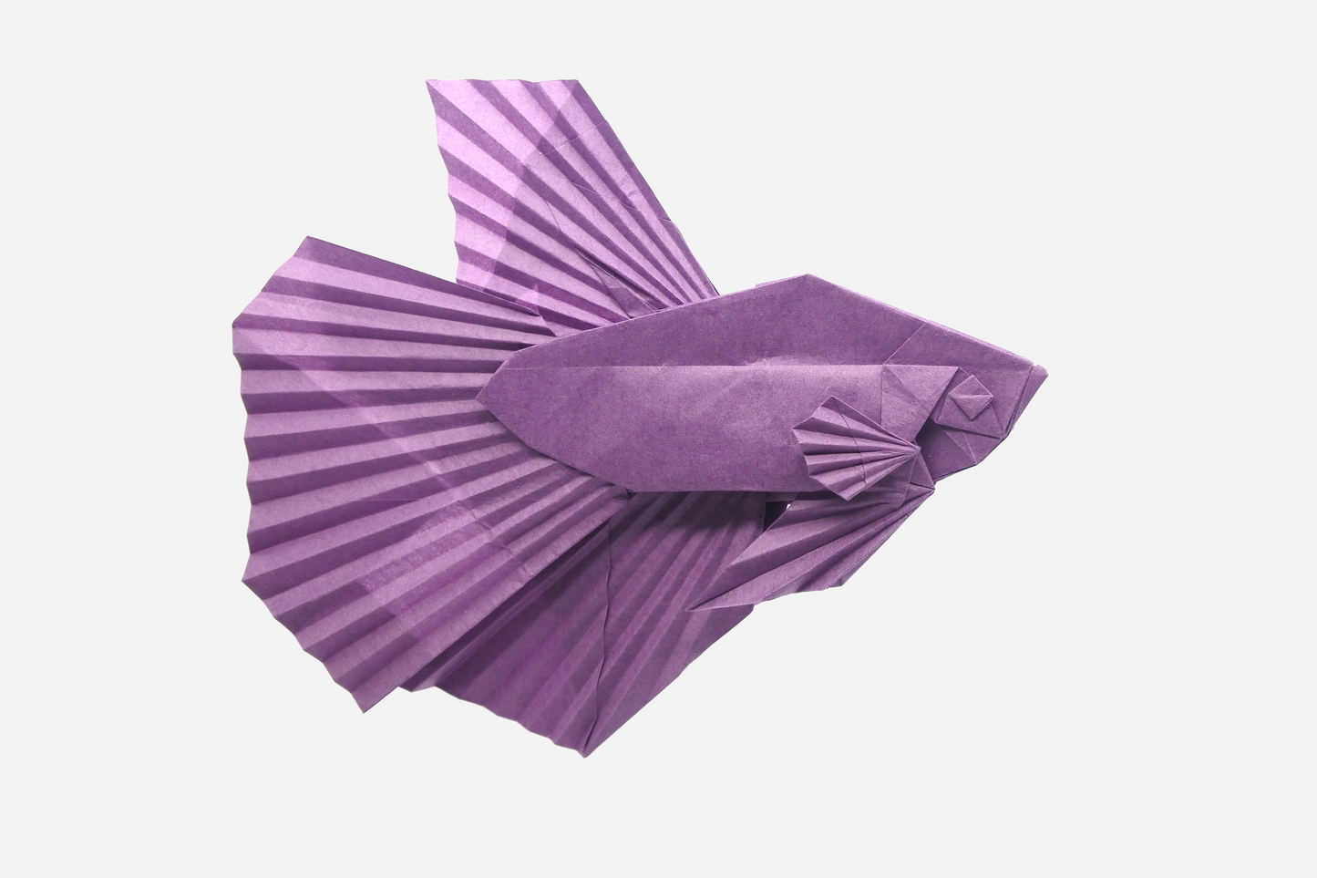 SAOC-Miogami,Washi paper, Thin and strong, Super Complex Origami
