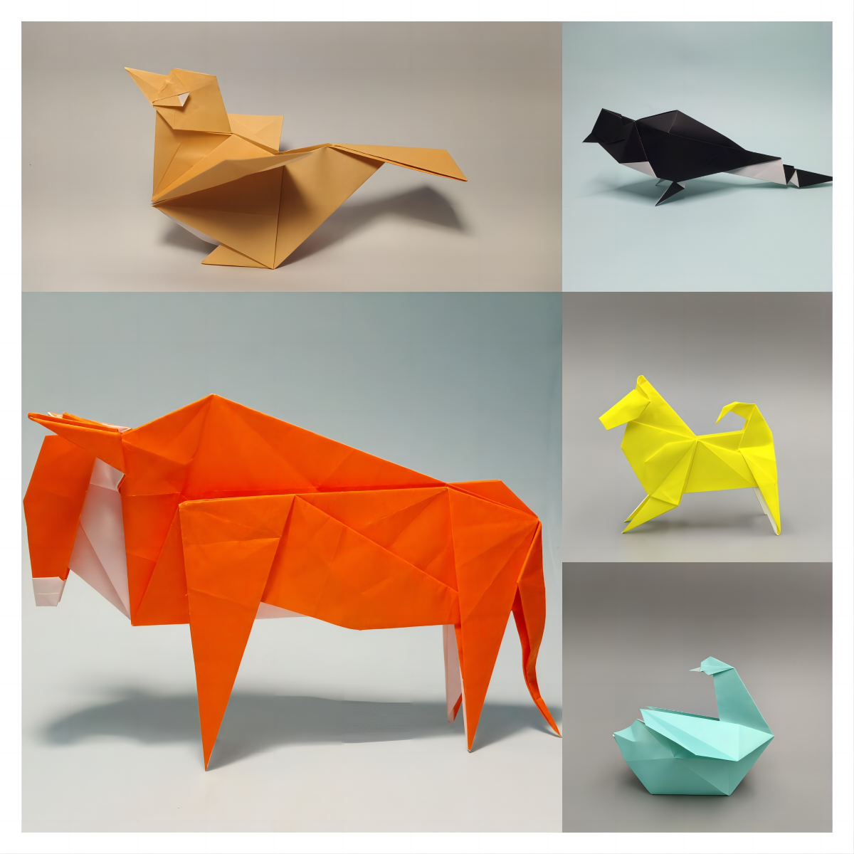 #1 Pure origami by Zhaoyanjie