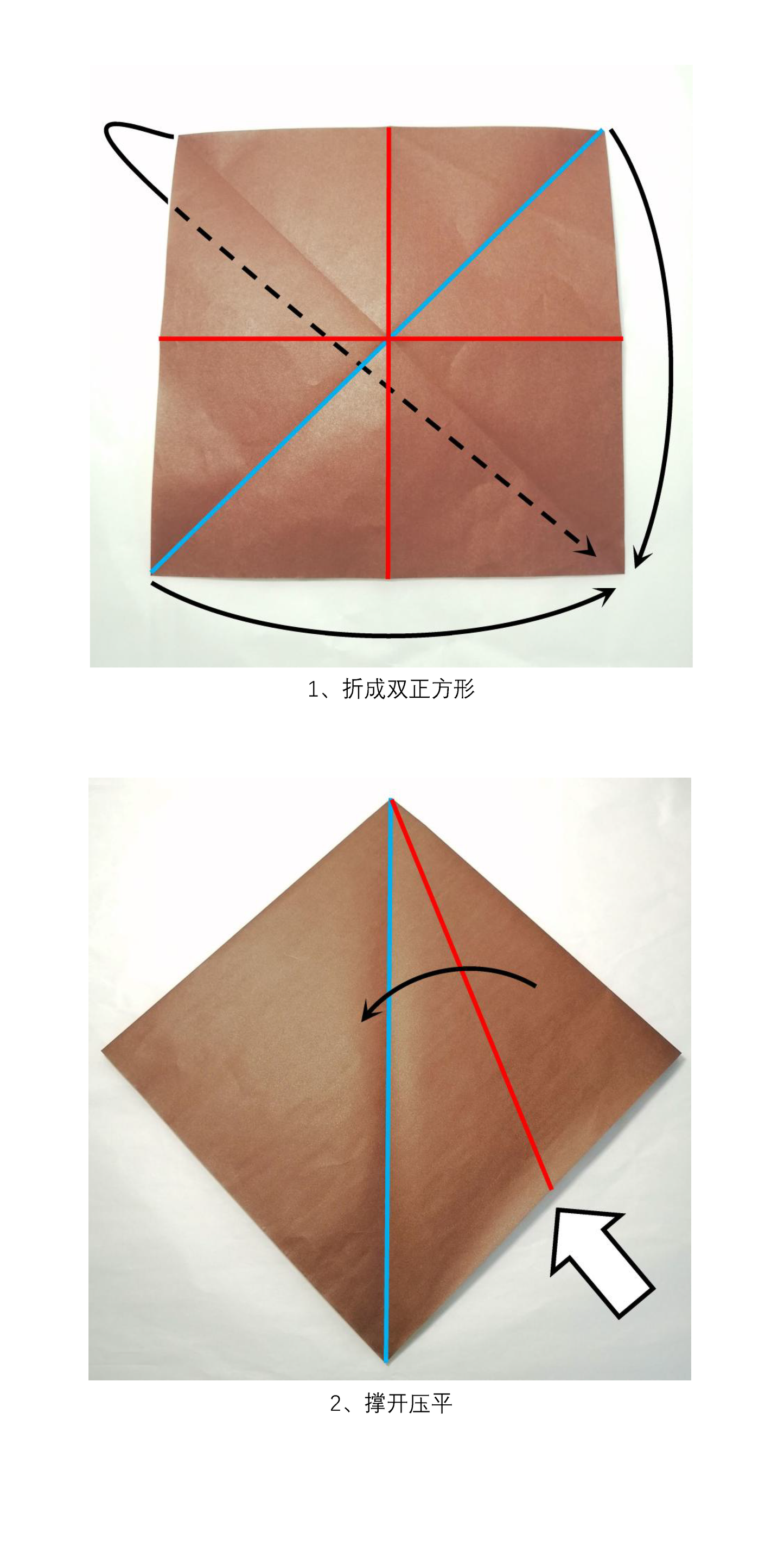 Garchomp by Zhang Yifan 【photodiagrams】 185steps