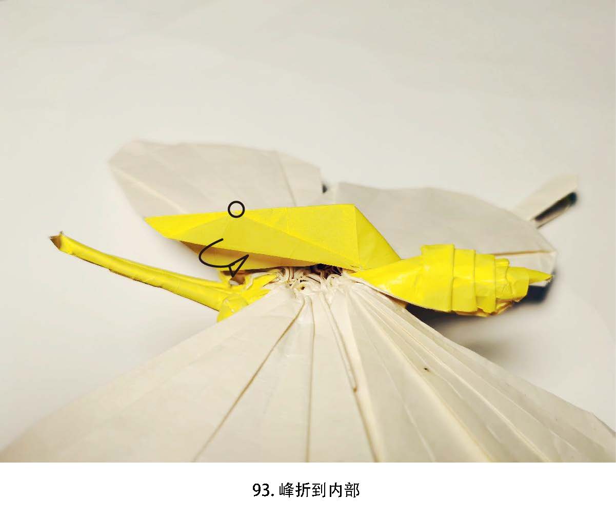 Butterfly by Tony Wang , Photodiagrams step by step. 140+steps