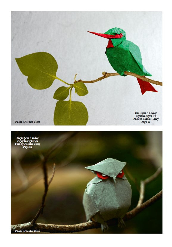 VOG3-VOL 12 VIETNAM ORIGAMI GROUP #3 - NEXT STEPS