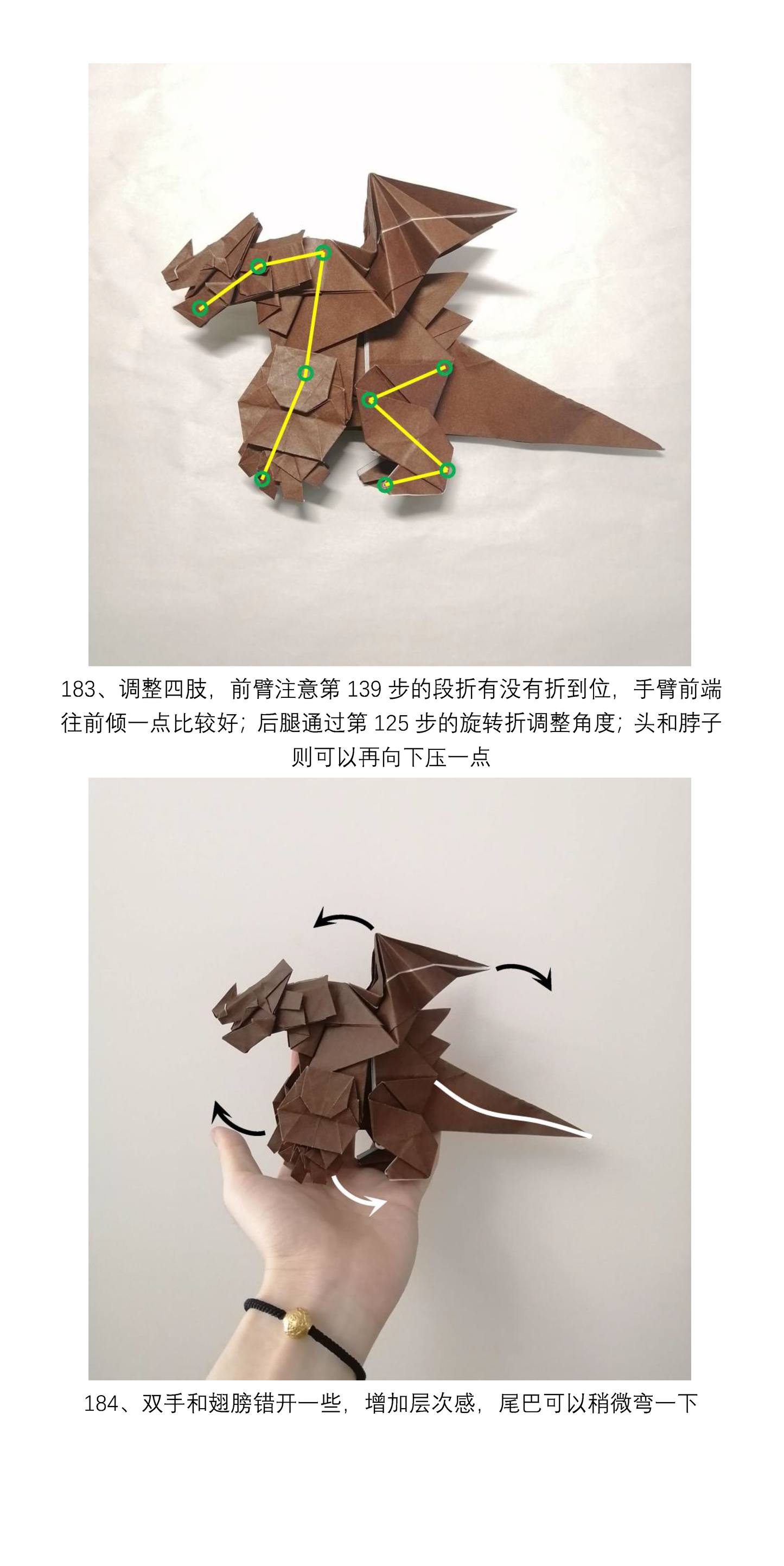Garchomp by Zhang Yifan 【photodiagrams】 185steps