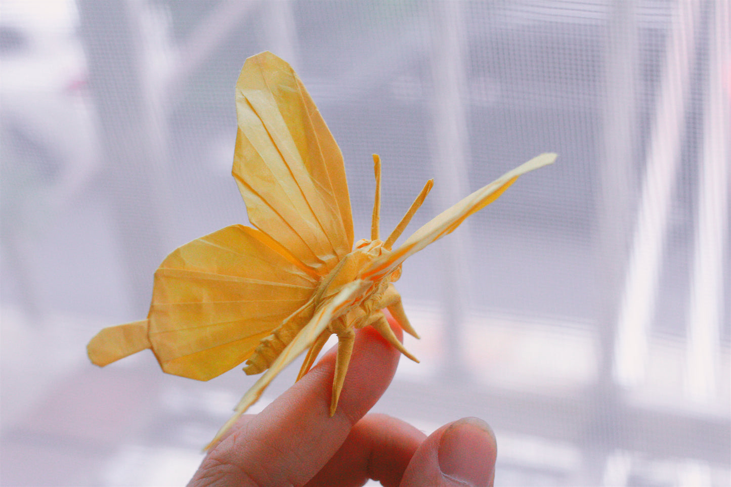 Butterfly by Tony Wang , Photodiagrams step by step. 140+steps