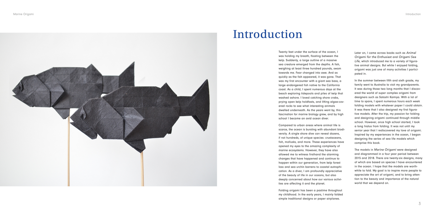 Marine Origami by Joseph Hwang 海洋折纸 hardcover origami book