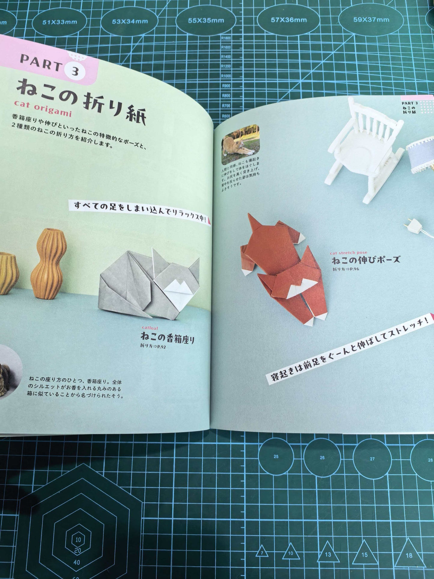 Easy cat and dog  book