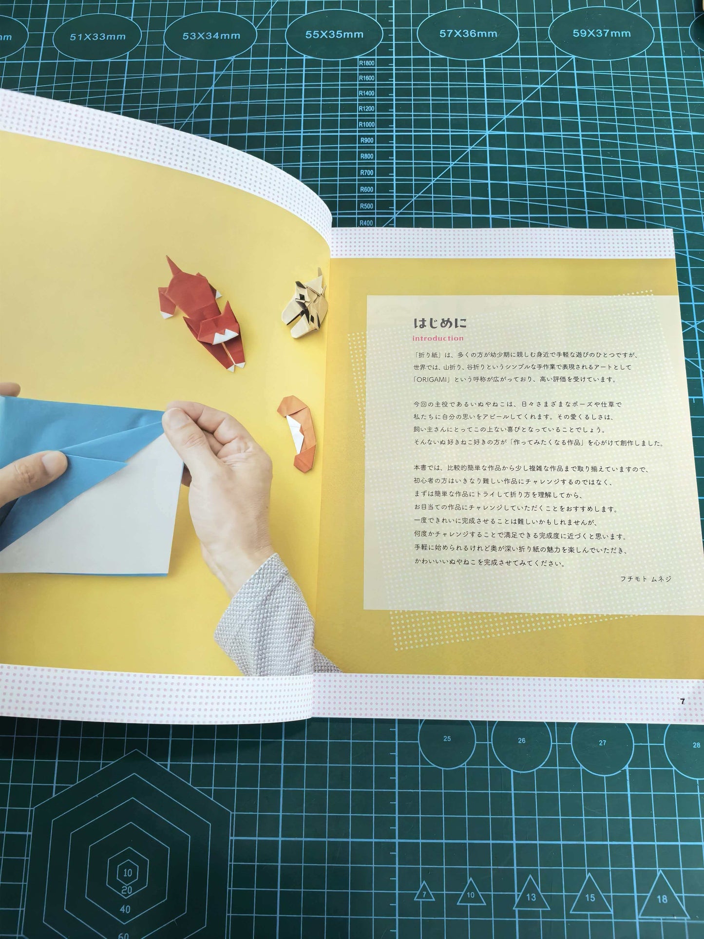 Easy cat and dog  book