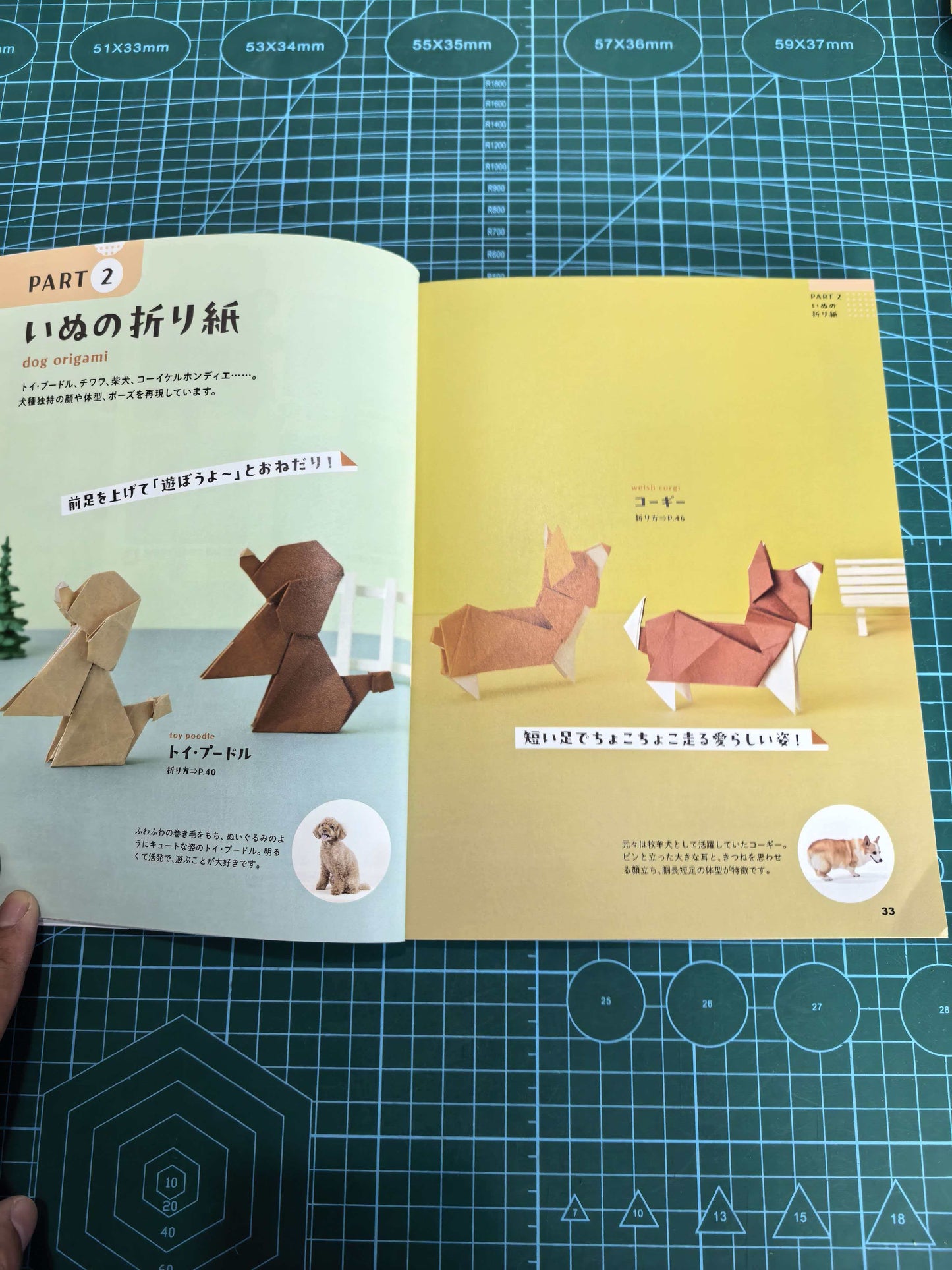 Easy cat and dog  book