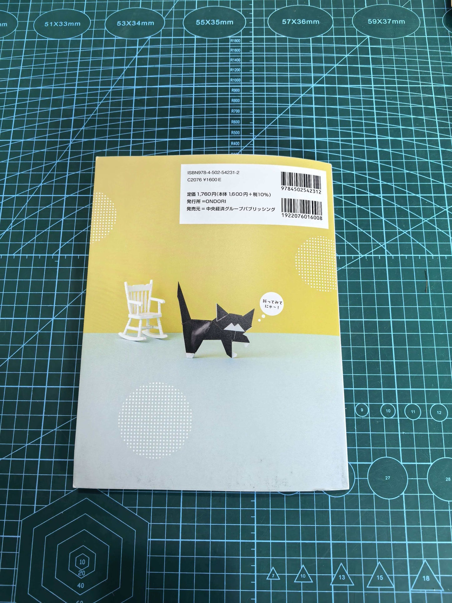 Easy cat and dog  book