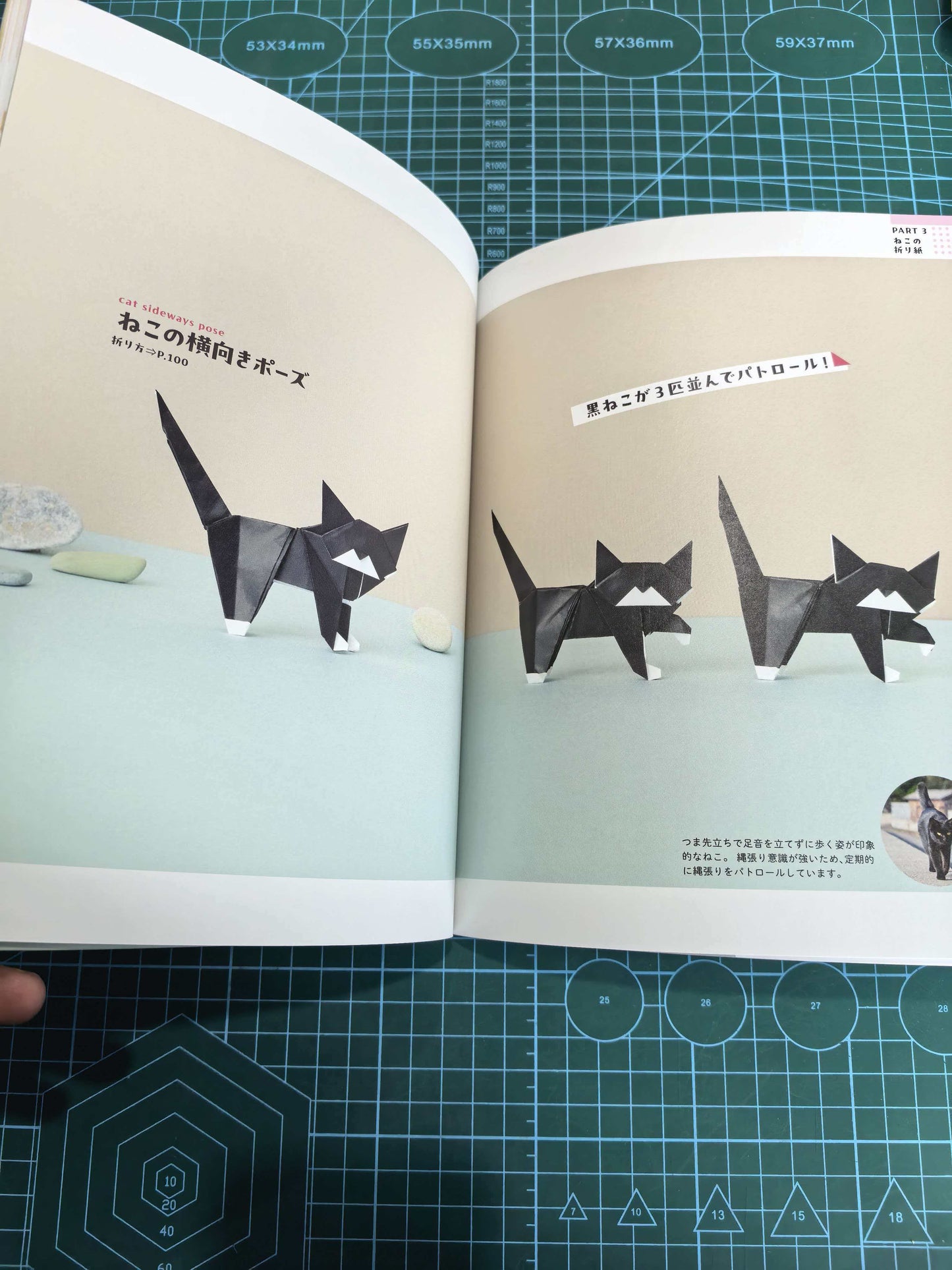 Easy cat and dog  book