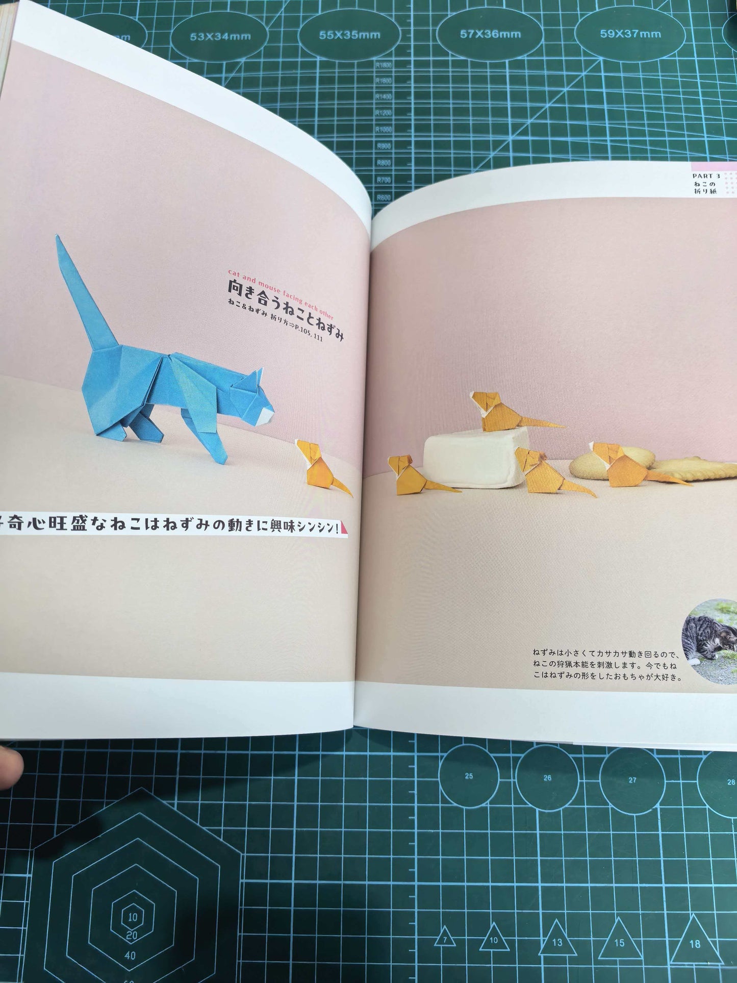 Easy cat and dog  book