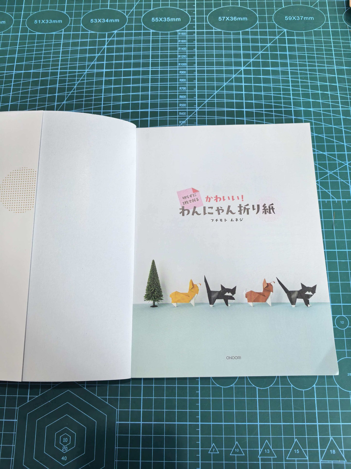 Easy cat and dog  book