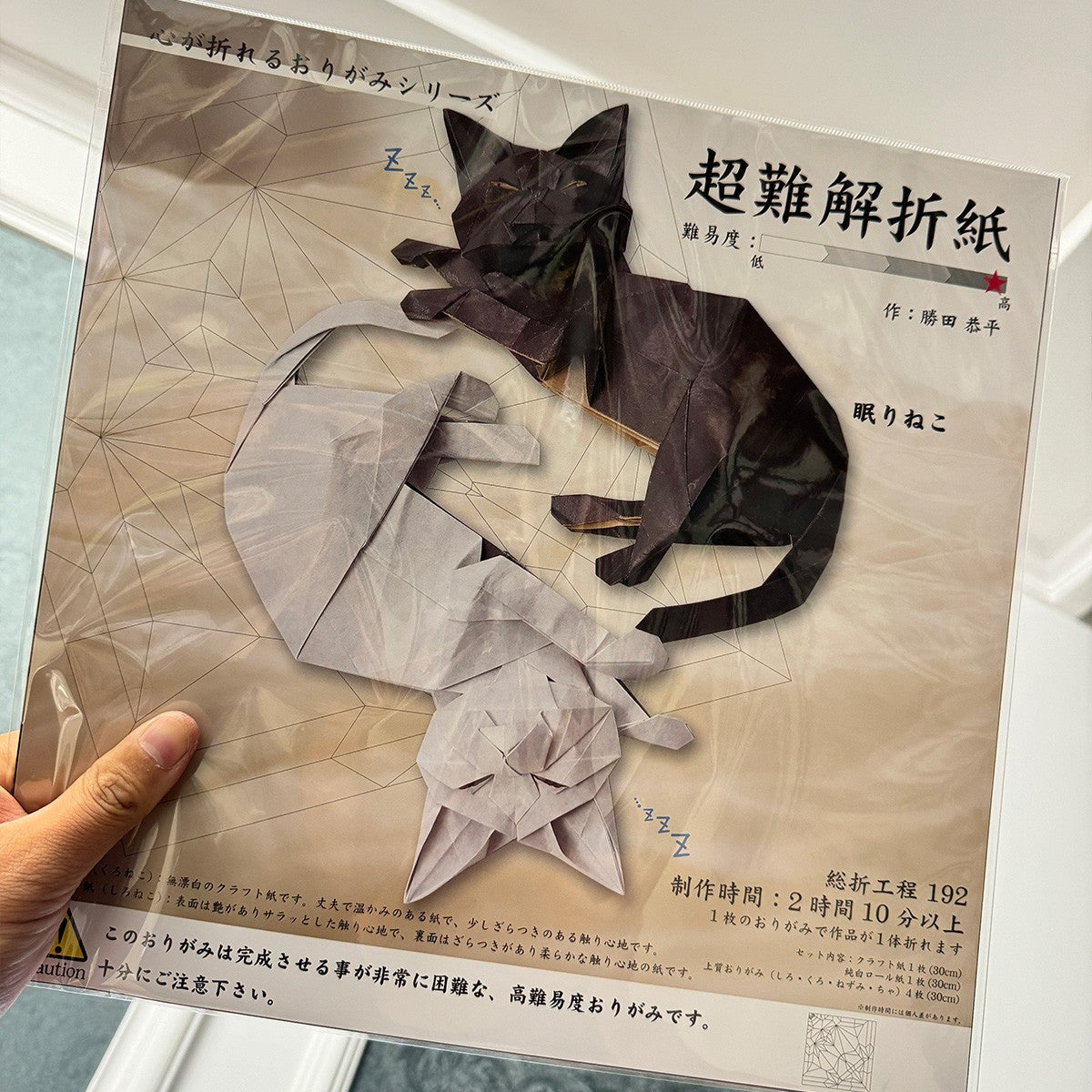 超難解折り紙 fox