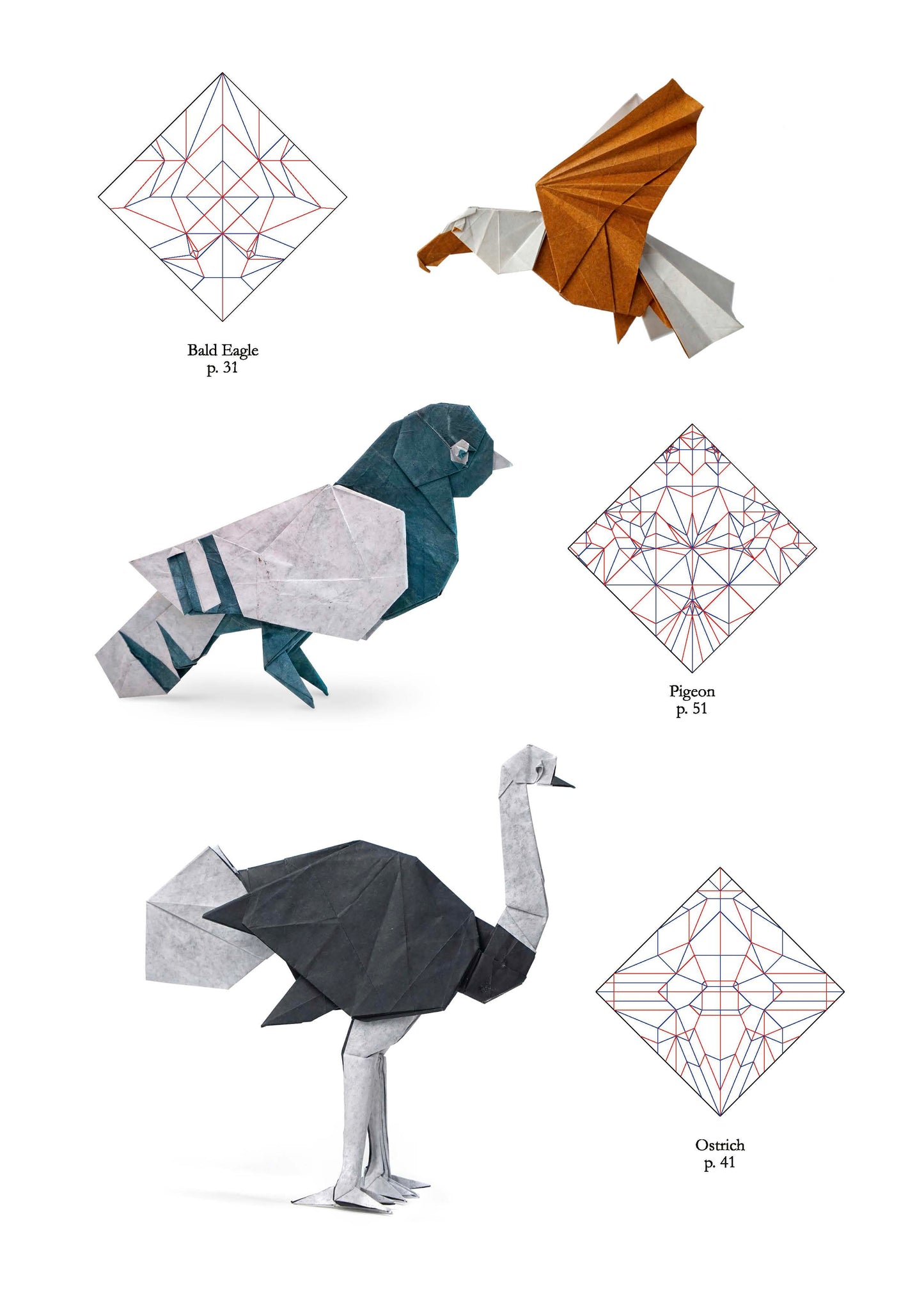 Origami life by Sampreet Manna From Nicolas Terry origami shop