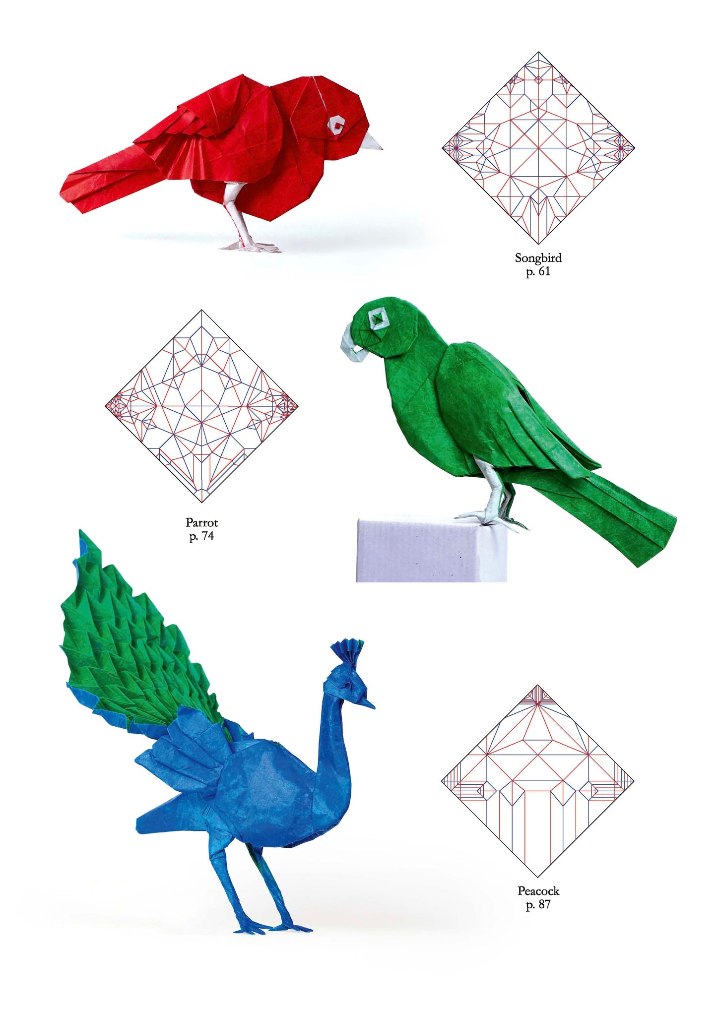 Origami life by Sampreet Manna From Nicolas Terry origami shop