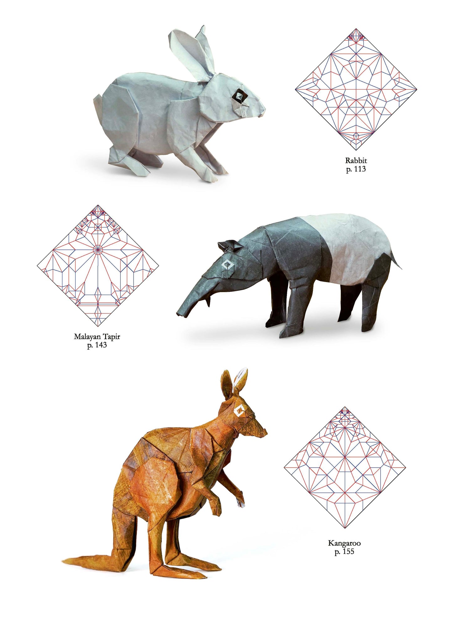 Origami life by Sampreet Manna From Nicolas Terry origami shop