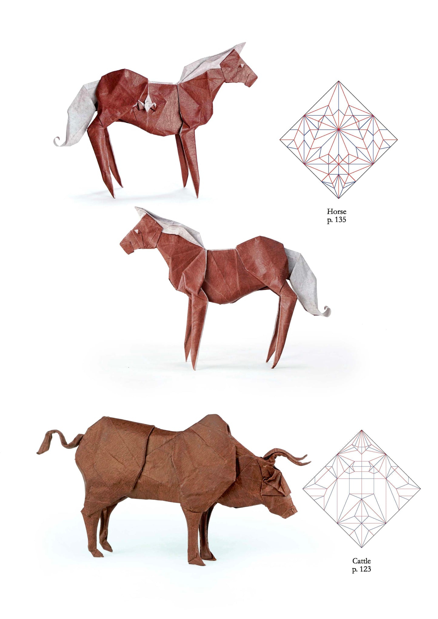 Origami life by Sampreet Manna From Nicolas Terry origami shop