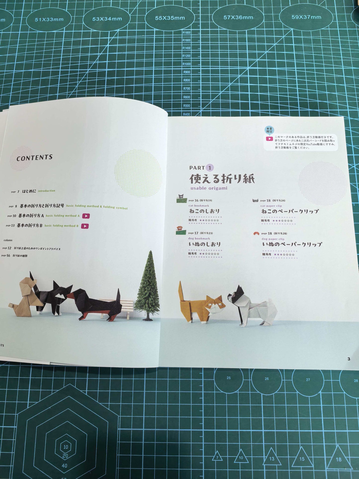 Easy cat and dog  book