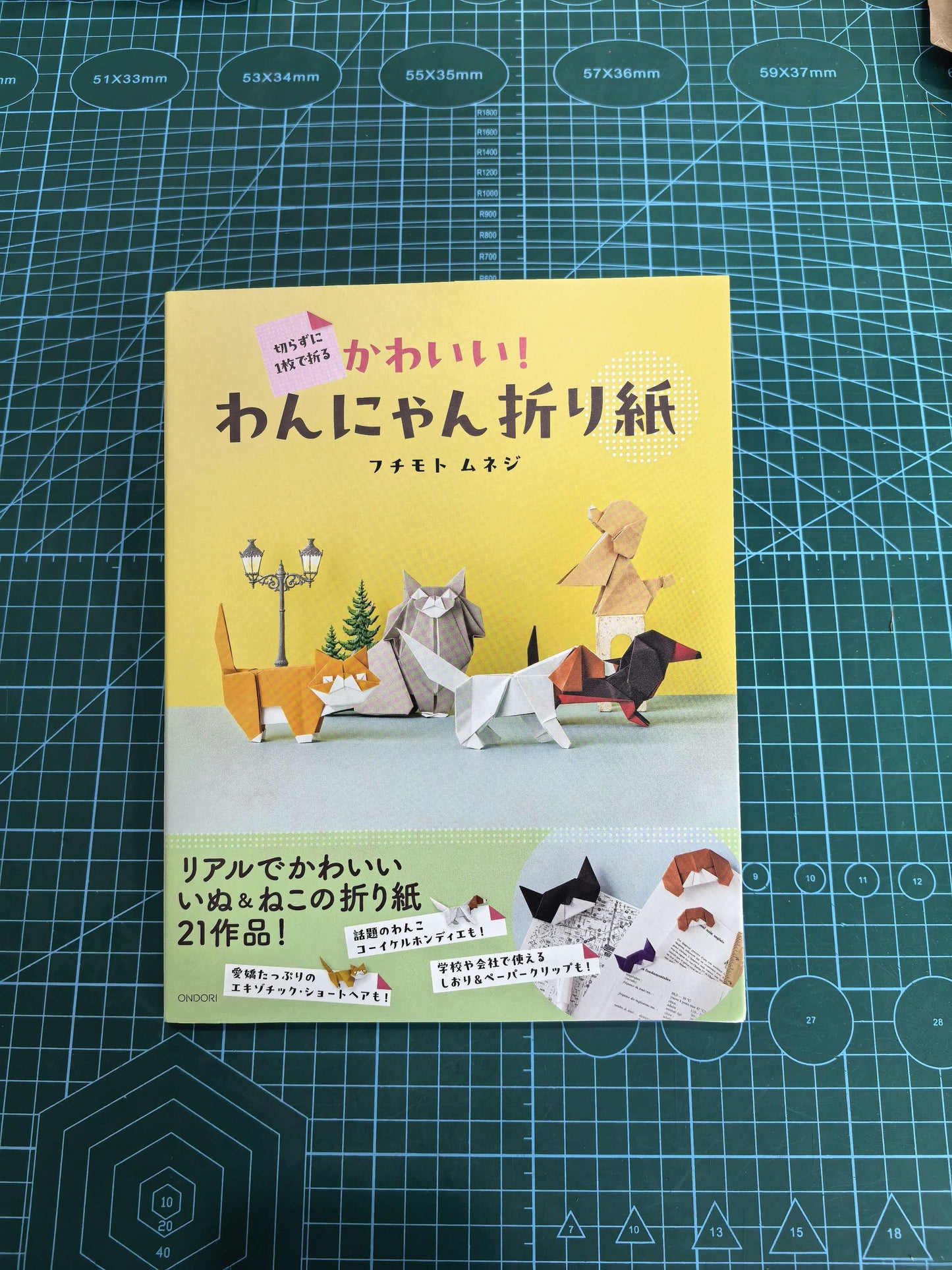 Easy cat and dog  book