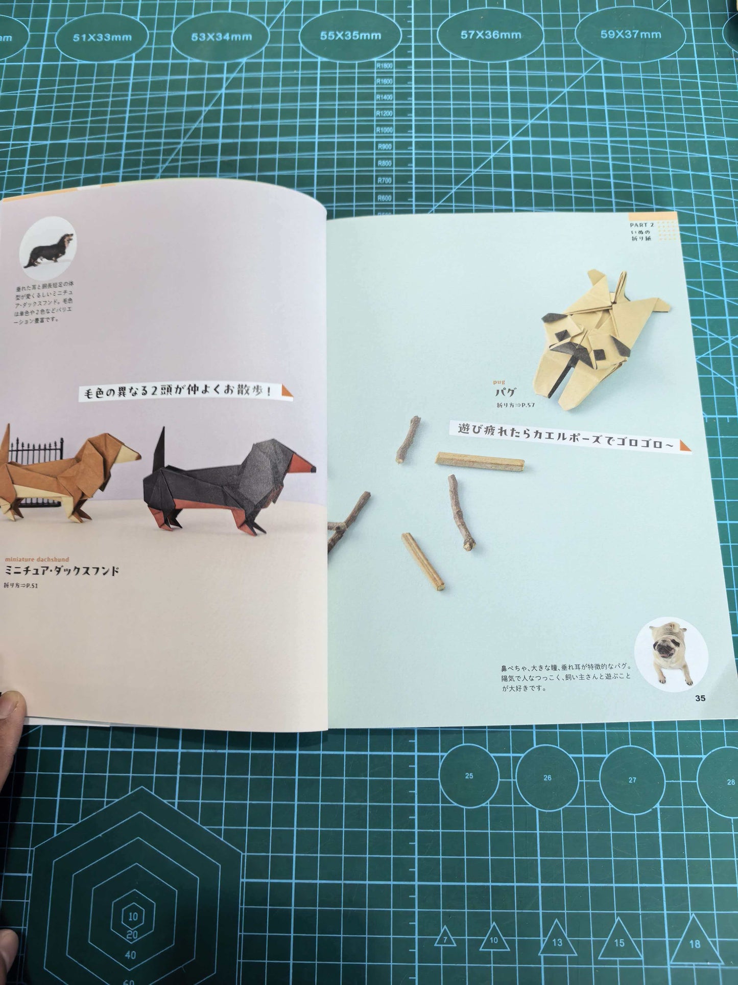 Easy cat and dog  book