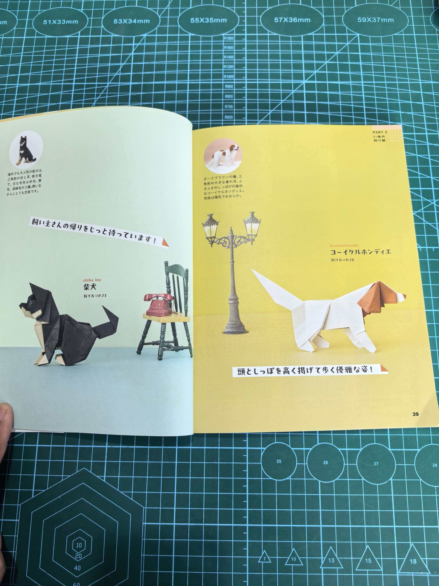 Easy cat and dog  book
