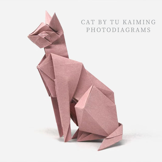 # 6 cat by Tukaiming photodiagrams