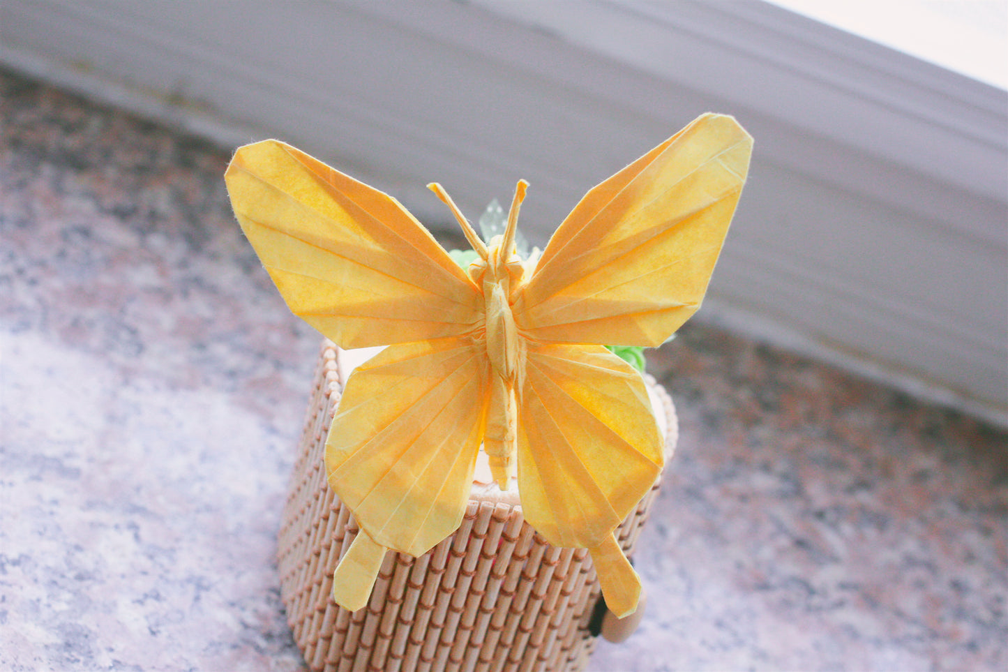 Butterfly by Tony Wang , Photodiagrams step by step. 140+steps